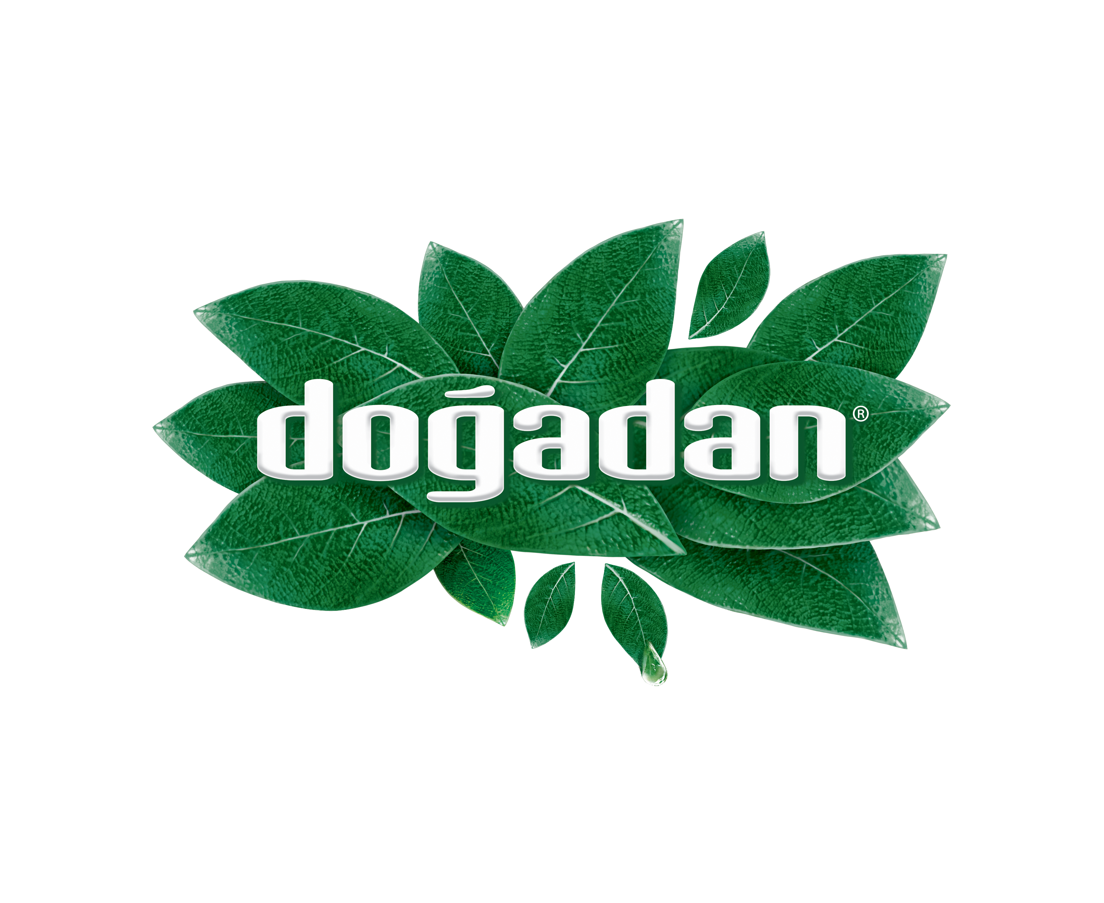 Dogadan
