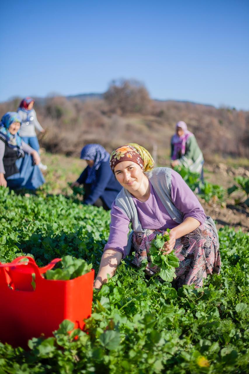Güçlendirme ve Kooperatifleşme 