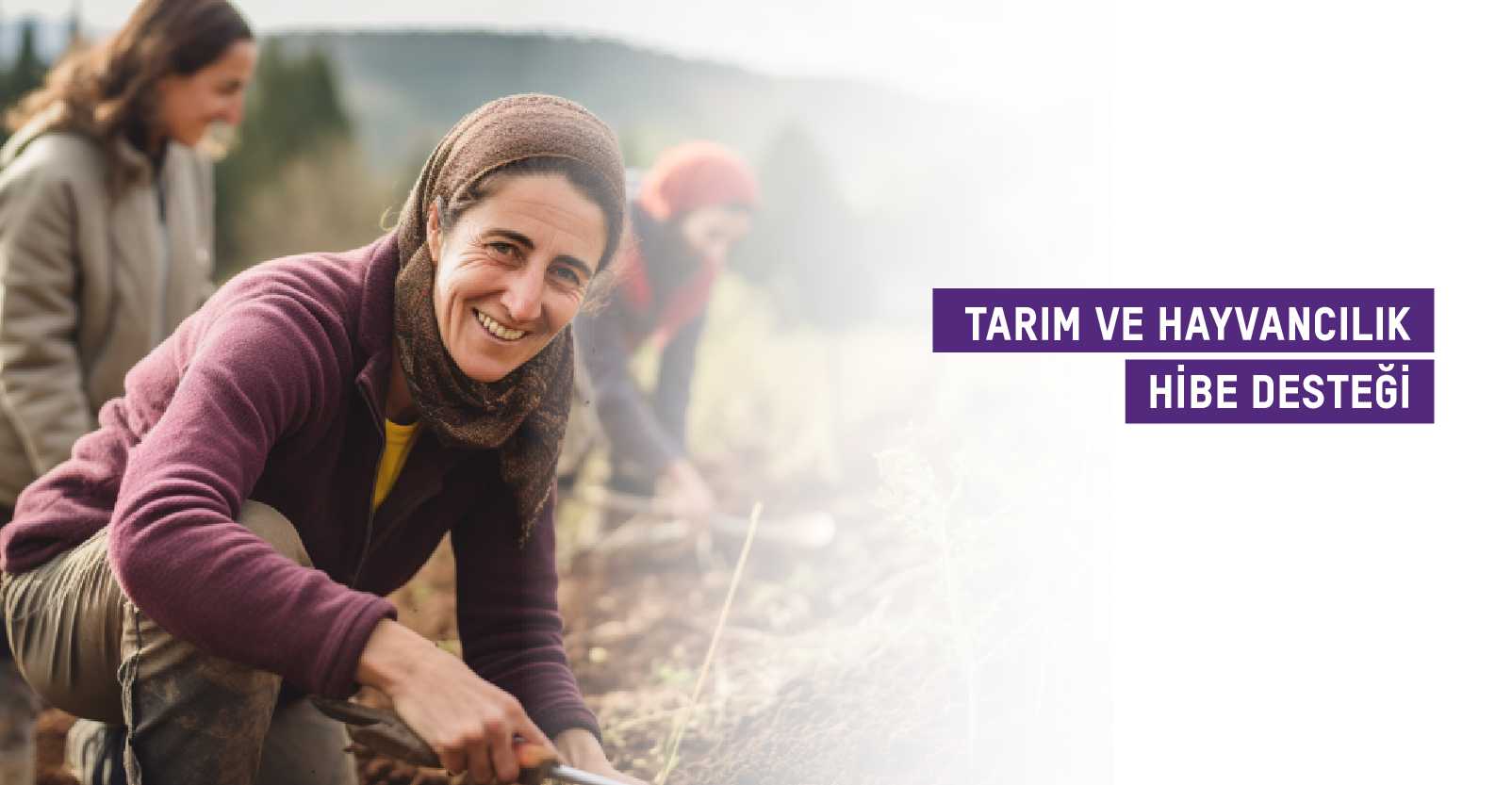 Tarım ve Hayvancılık Hibe Desteği Kullanım Kılavuzu   